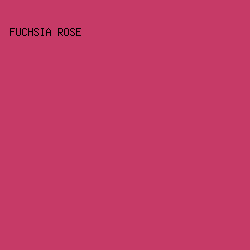 C63A67 - Fuchsia Rose color image preview