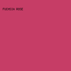 C63D66 - Fuchsia Rose color image preview
