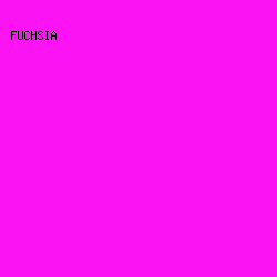 FB13F3 - Fuchsia color image preview