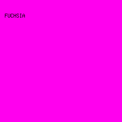 FF00EE - Fuchsia color image preview