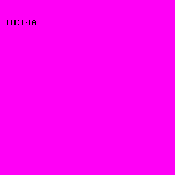 FF00F6 - Fuchsia color image preview