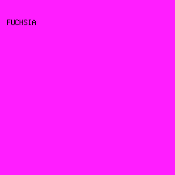FF1EFF - Fuchsia color image preview