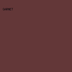 633737 - Garnet color image preview
