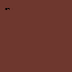 6e372e - Garnet color image preview