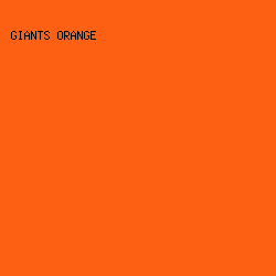 FD5F13 - Giants Orange color image preview