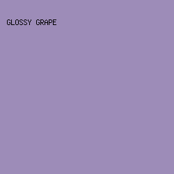 9D8CB8 - Glossy Grape color image preview