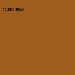 9E5D1C - Golden Brown color image preview