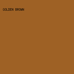 9E6125 - Golden Brown color image preview