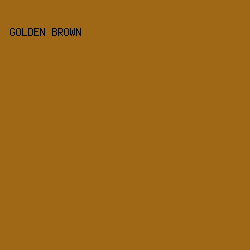 9E6816 - Golden Brown color image preview
