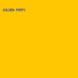 ffc601 - Golden Poppy color image preview