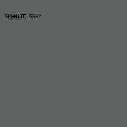 5E6464 - Granite Gray color image preview