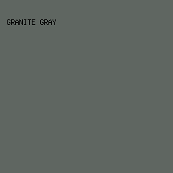 5F6661 - Granite Gray color image preview