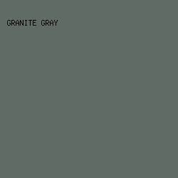 606B65 - Granite Gray color image preview