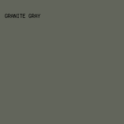 62655b - Granite Gray color image preview