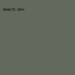 626a5d - Granite Gray color image preview