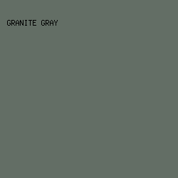 636E65 - Granite Gray color image preview