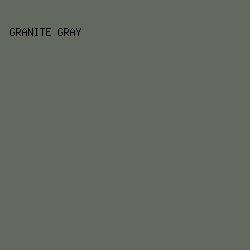 64695F - Granite Gray color image preview