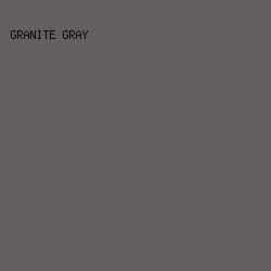 655e62 - Granite Gray color image preview