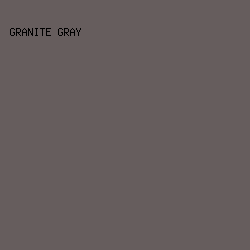 665D5D - Granite Gray color image preview