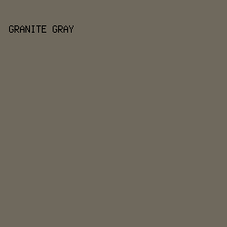 6F695D - Granite Gray color image preview