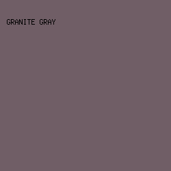 705E66 - Granite Gray color image preview