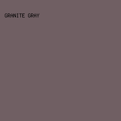 705F63 - Granite Gray color image preview