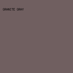 705f60 - Granite Gray color image preview