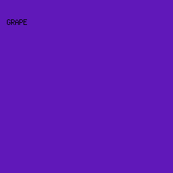 6018b9 - Grape color image preview