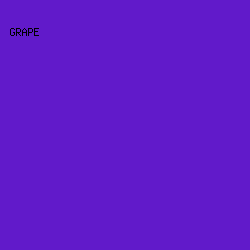 611aca - Grape color image preview