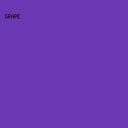 6A38B3 - Grape color image preview