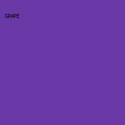 6B38A8 - Grape color image preview