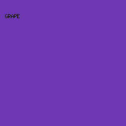 6F36B3 - Grape color image preview