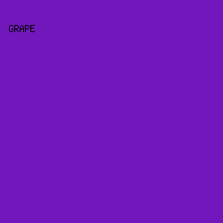 7117BB - Grape color image preview
