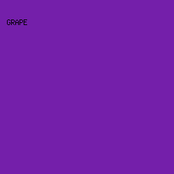 741FAA - Grape color image preview