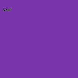 7933AB - Grape color image preview