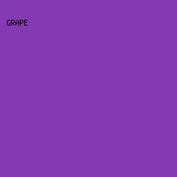 833AB2 - Grape color image preview
