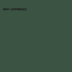 3B5343 - Gray-Asparagus color image preview