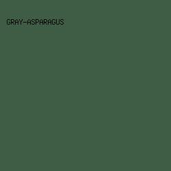 3F5C44 - Gray-Asparagus color image preview