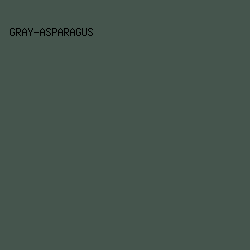 45554D - Gray-Asparagus color image preview