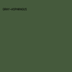 455A3C - Gray-Asparagus color image preview