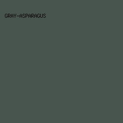 47554e - Gray-Asparagus color image preview