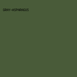495B39 - Gray-Asparagus color image preview