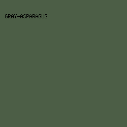 4C5E46 - Gray-Asparagus color image preview