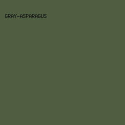 4F5D40 - Gray-Asparagus color image preview