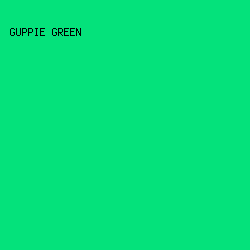 04E27B - Guppie Green color image preview