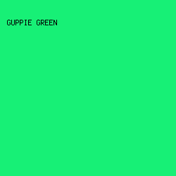 17F076 - Guppie Green color image preview