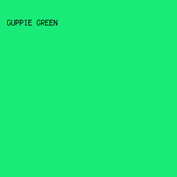 18EB77 - Guppie Green color image preview