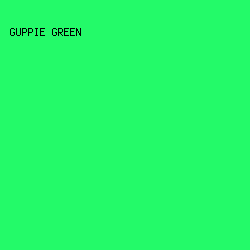 23FA69 - Guppie Green color image preview