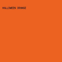 EB6121 - Halloween Orange color image preview