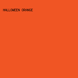 F05524 - Halloween Orange color image preview